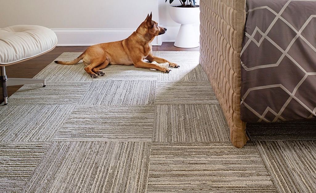 iLlUsIoN High-Low Loop Carpet Tiles from Donaire™